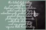 Butnerfly Font