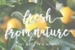 Butter Mellow - Brush Script