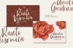 Butter Slices Font