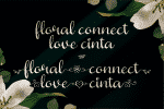Butterfly Hellyna Font