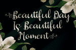 Butterfly Hellyna Font