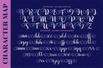 Butterfly Holiday Font