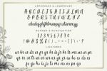 Butterfly Winter Font