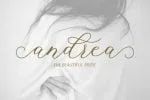Buttering Font