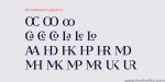 Bw Darius Font Family