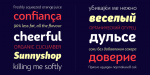 Bw Surco Font