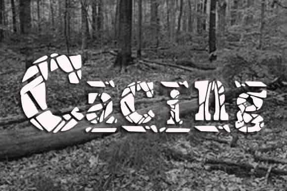 Cacings Font