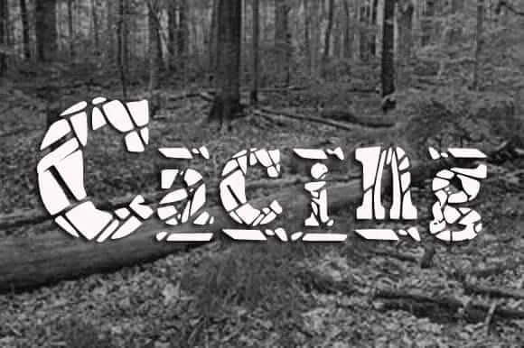 Cacings Font