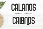 Cafiloser - Modern Sans Serif