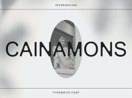 Cainamons - Vintage Font