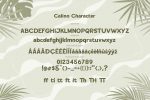 Calino Font