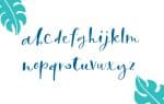 Calla Script Font