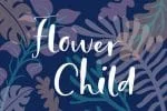 Calla Script Font