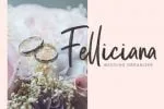 Calliretta Font