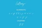 Callmery Signature Script Font