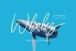 Callmery Signature Script Font