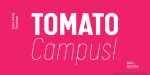 Calps Sans Font Family