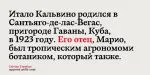 Calvino Font Family