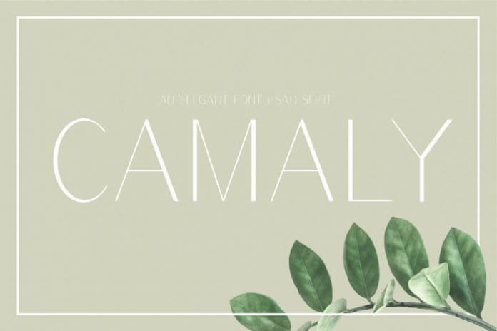 Camaly Font
