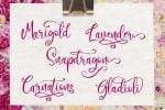 Camellia Font