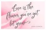 Camellia Font