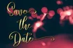 Camellia Font