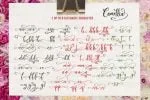 Camellia Font
