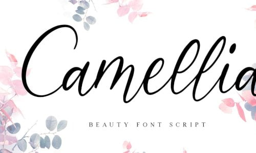Camellia Beauty Script Font