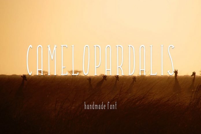 Camelopardalis Font