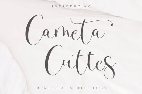 Cameta Cuttes Font