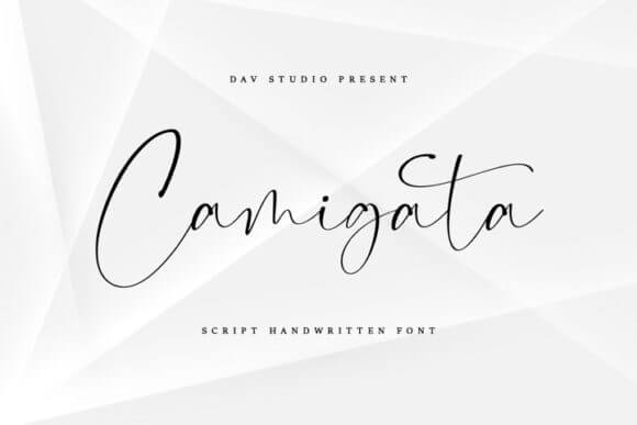 Camigata Font