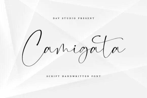 Camigata Font