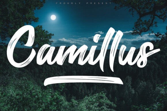 Camillus Font