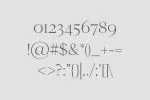 Cammron Serif Font