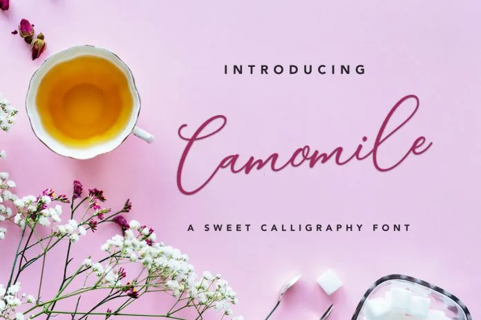 Camomile Script Font