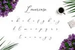 Camomile Script Font