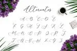 Camomile Script Font