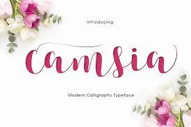 Camsia Script Typeface