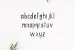 Candace Font