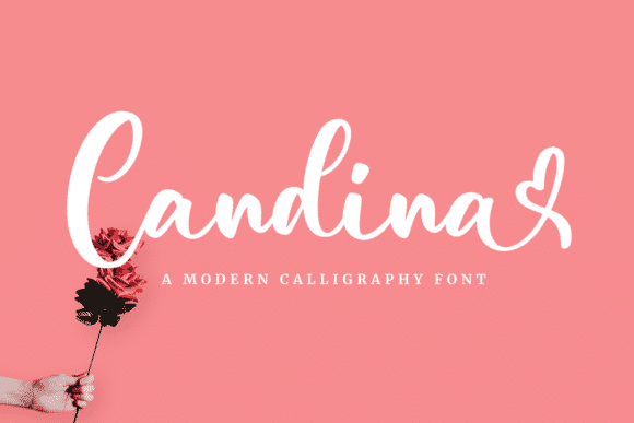 Candina Font