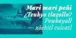Canilari Pro Font