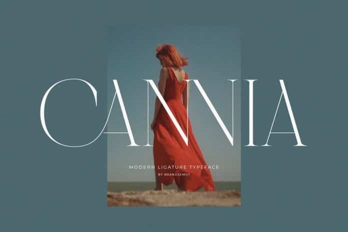 Cannia Serif Font
