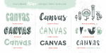 Canvas Acrylic Megafamily Font