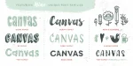 Canvas Acrylic Megafamily Font