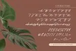 Captivate Script Font