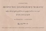 Cardigan Script - Handlettered Font