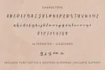 Cardigan Script - Handlettered Font