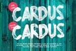Cardus Brush SVG Font