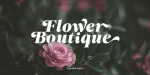 Carelia Font Family