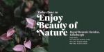 Carelia Font Family